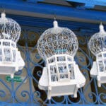 cages-sbs-200611